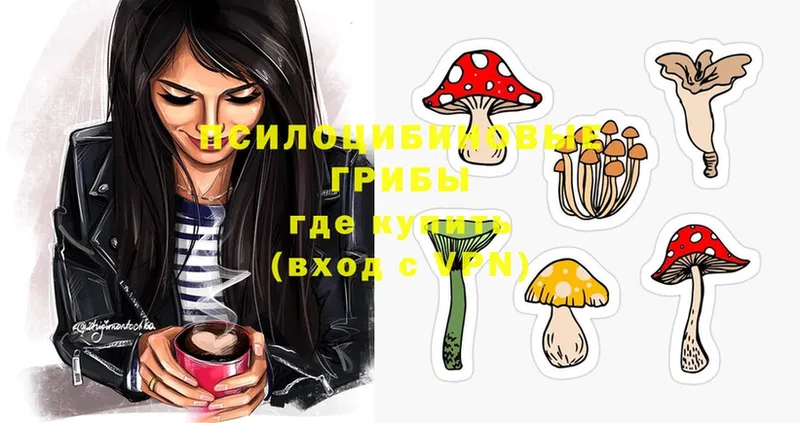 MEGA ONION  купить наркотик  Холм  Псилоцибиновые грибы Magic Shrooms 